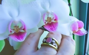 365 Self Portrait Challenge Day TwentyFour