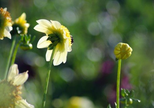 20120901-20120901-CHE_7413